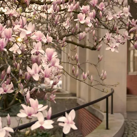 Elegant In The Center Wroclaw