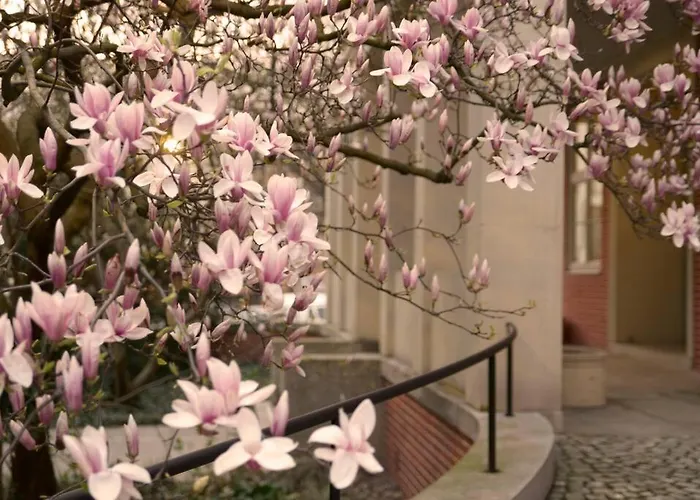 Elegant In The Center Wroclaw